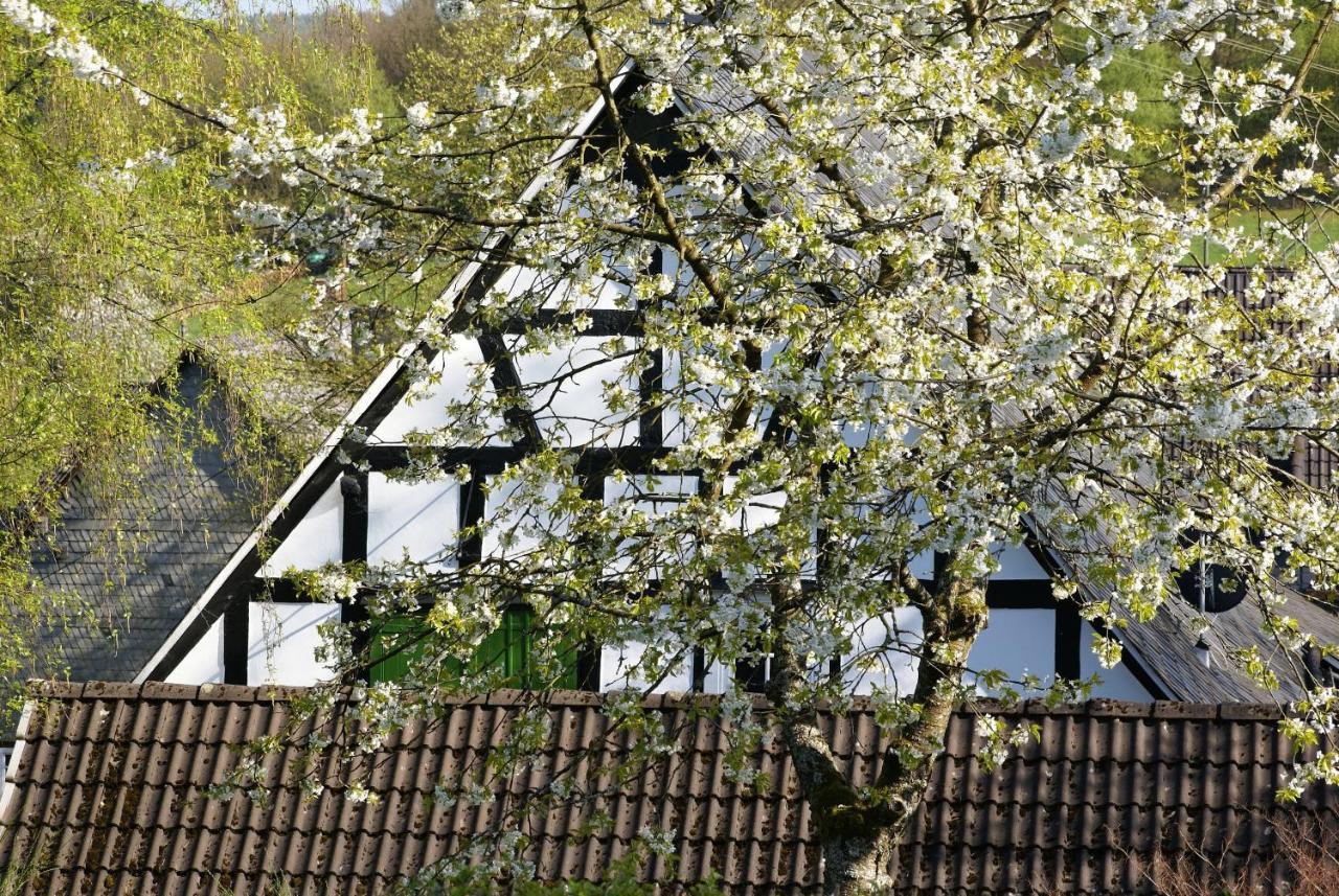 Gasthof Schumacher Hotel Garni Фройденберг Екстериор снимка
